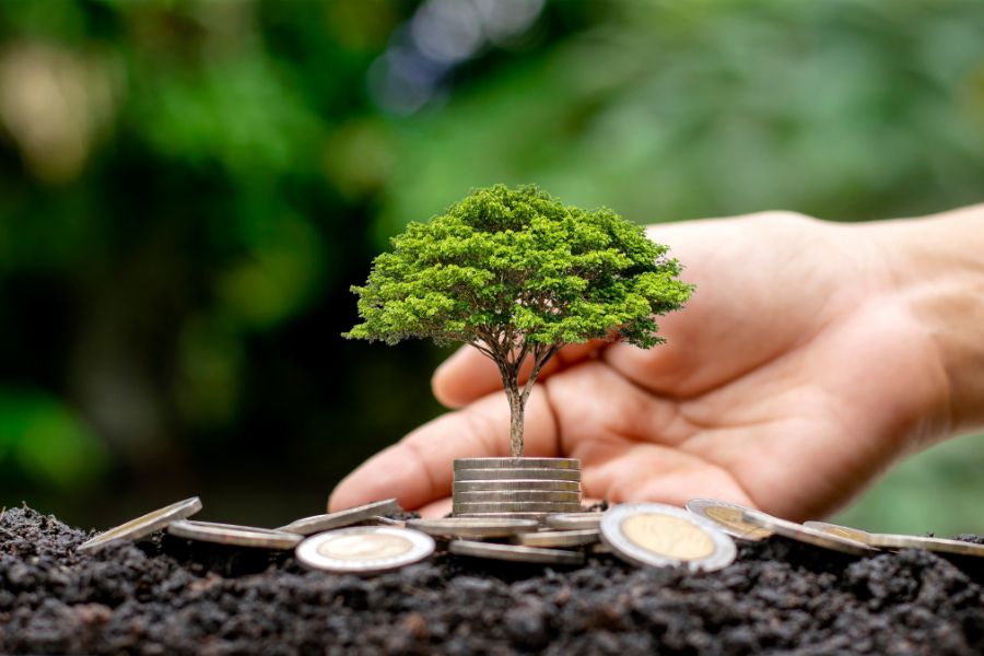 5 Most Powerful Stones to Attract Money