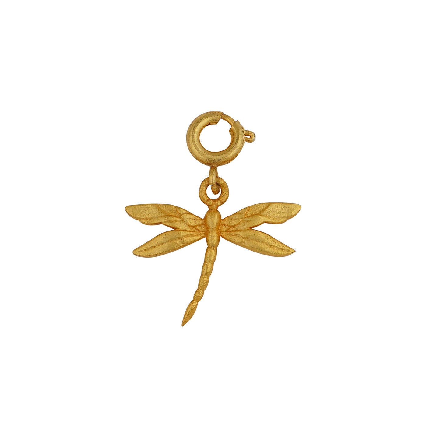 Dragonfly Charm to Embrace Change